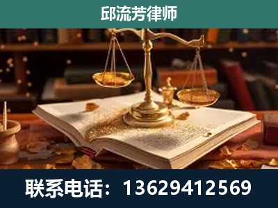 藤-刑事案件