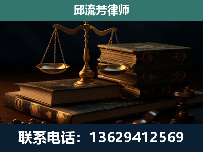 藤-刑事案件